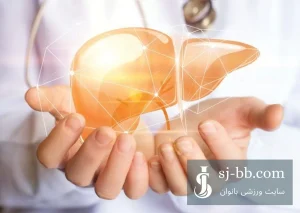 علت ایجاد کبد چرب