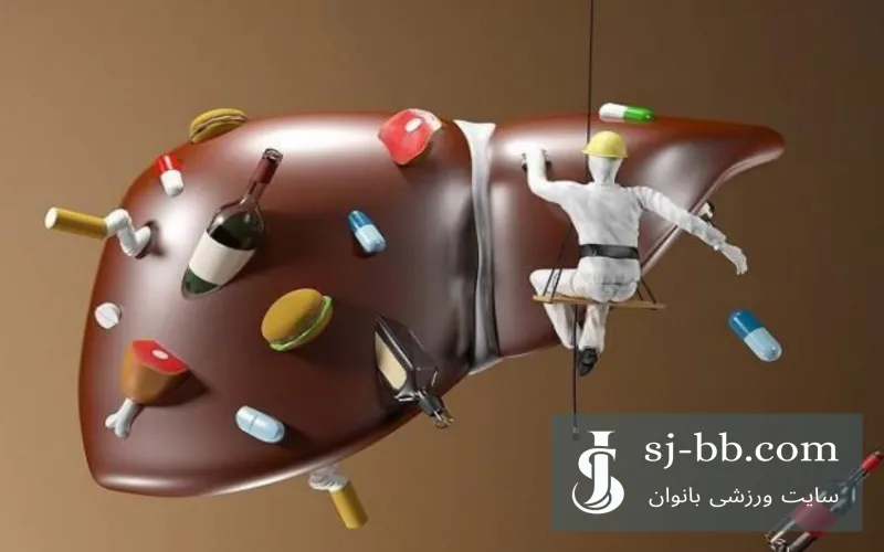 کبد چرب