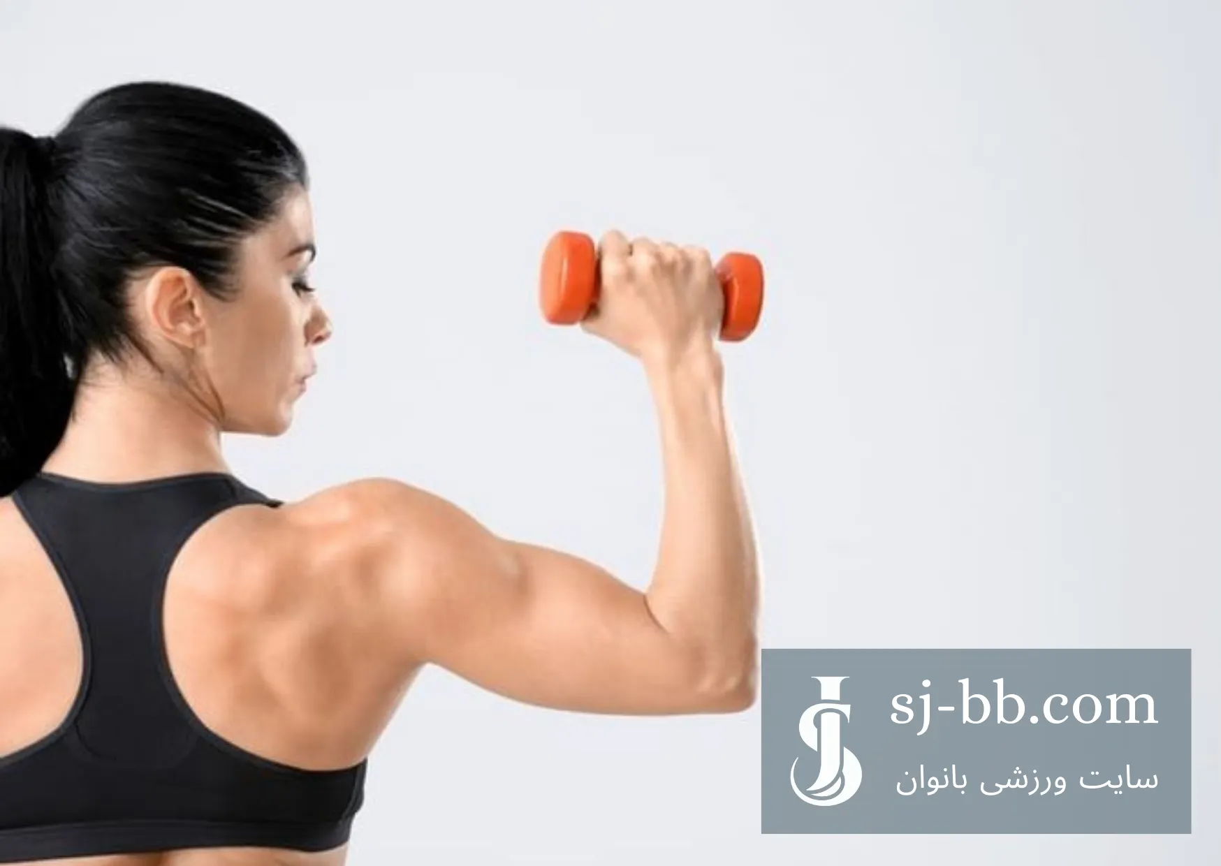 گروه عضلات سه سربازویی یا پشت بازو