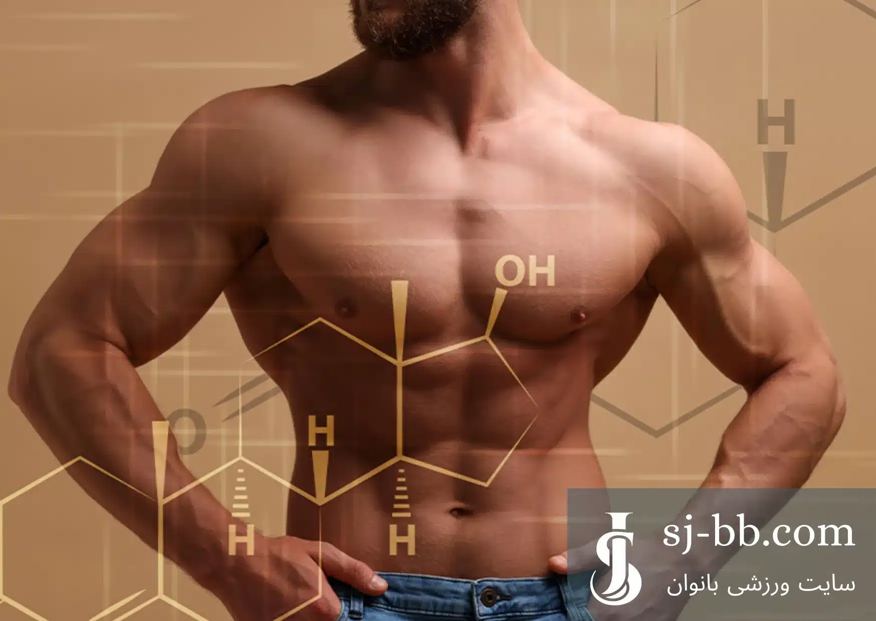 کار اصلی تستوسترون چیست؟