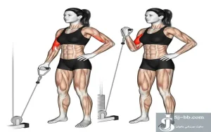 اجرای حرکت جلو بازو سیمکش تک دست برای تقویت عضلات جلو بازو بانوان (Single-Arm Cable Biceps Curl for Strengthening Biceps Muscles)