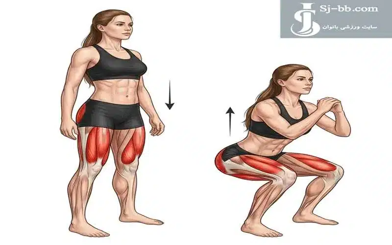 حرکت اسکوات برای تقویت عضلات پا و باسن