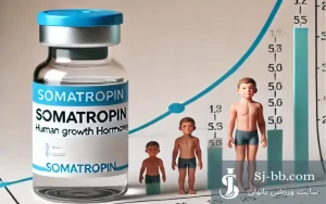 سوماتروپین و تاثیر آن بر رشد عضلات و تقویت بدن