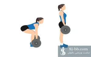 ددلیفت هالتر