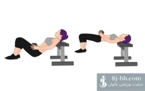 حرکت هیپ تراست دمبل با کنترل فرم و تکنیک صحیح