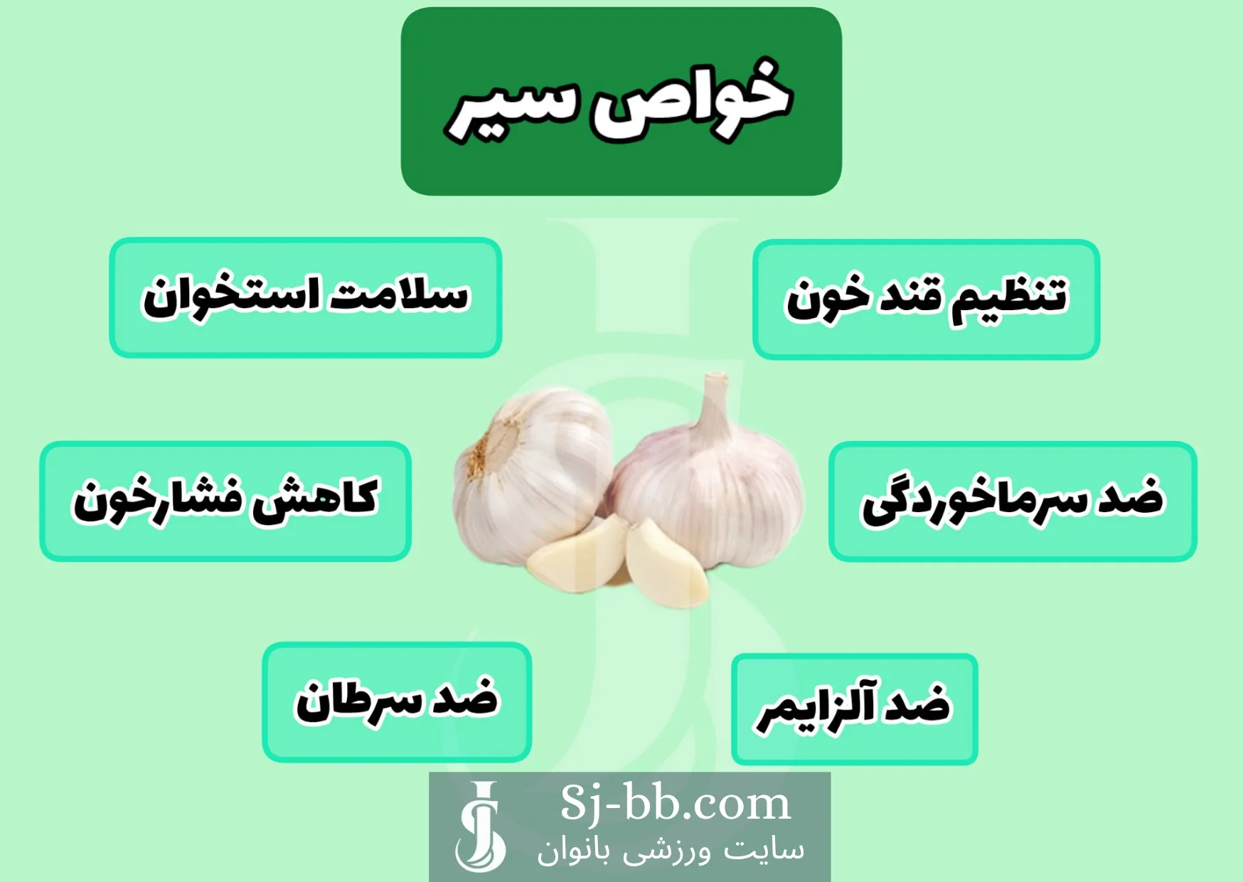 سیر و تاثیر آن بر کاهش کلسترول و سلامت قلب