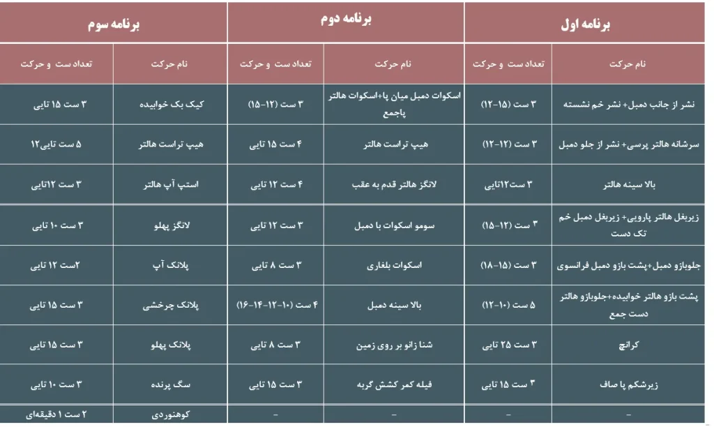 برنامه فیتنس حرفه‌ای