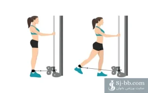 حرکت کیک بک ایستاده پاصاف سیم‌کش