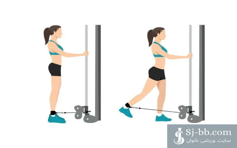 حرکت کیک بک ایستاده پاصاف سیم‌کش