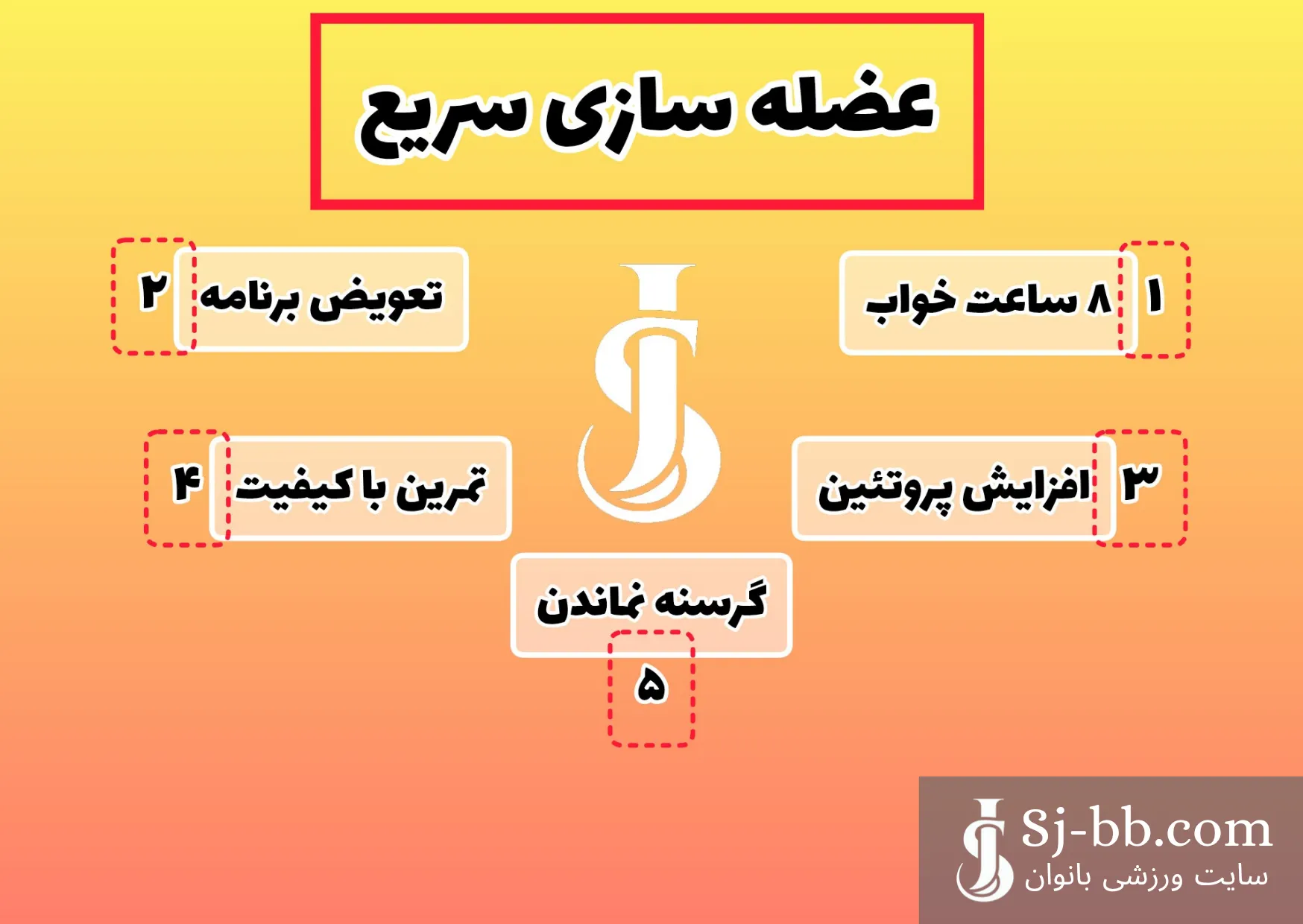 تکنیک‌های حرفه‌ای برای رشد سریع عضلات