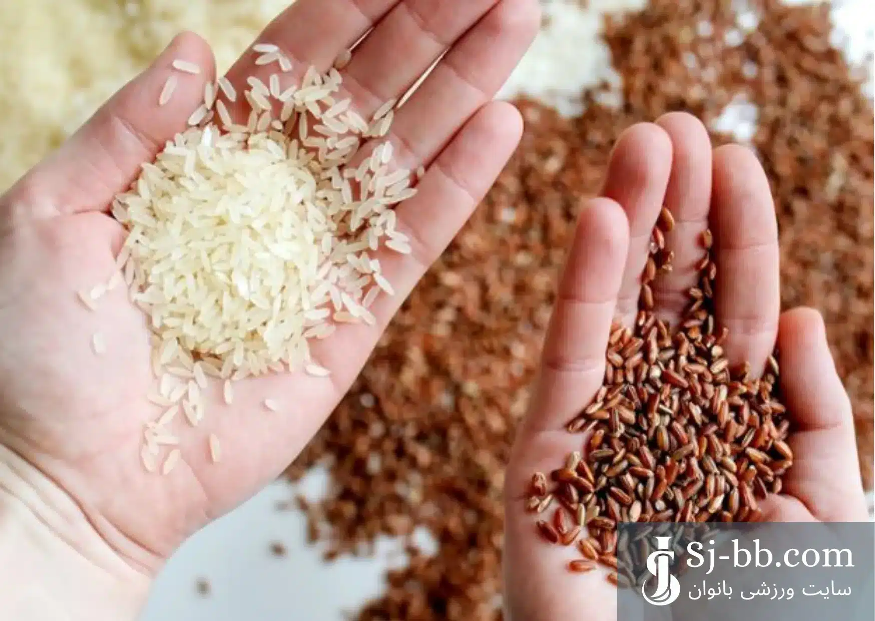 تصویر فردی که برای رژیم لاغری بین دو نوع برنج مردد است
