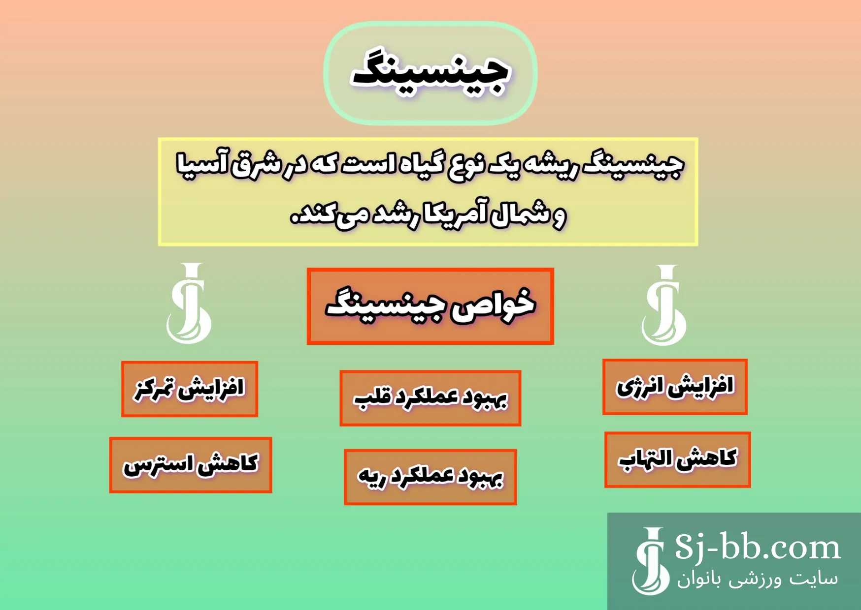 اینفوگرافیک مزایای جینسینگ برای بدن