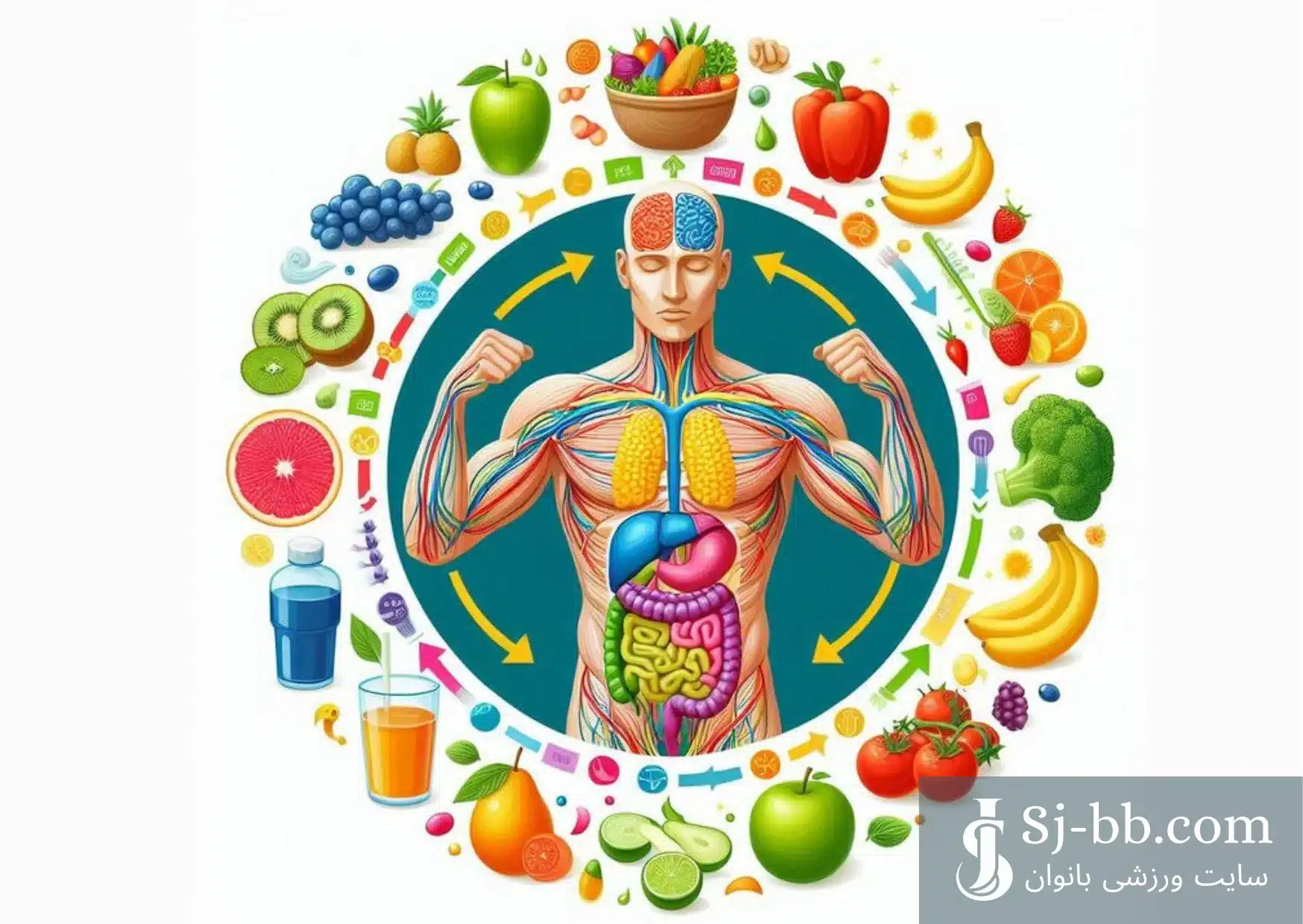 تأثیر شاخص گلیسمی در کنترل قند خون و دیابت