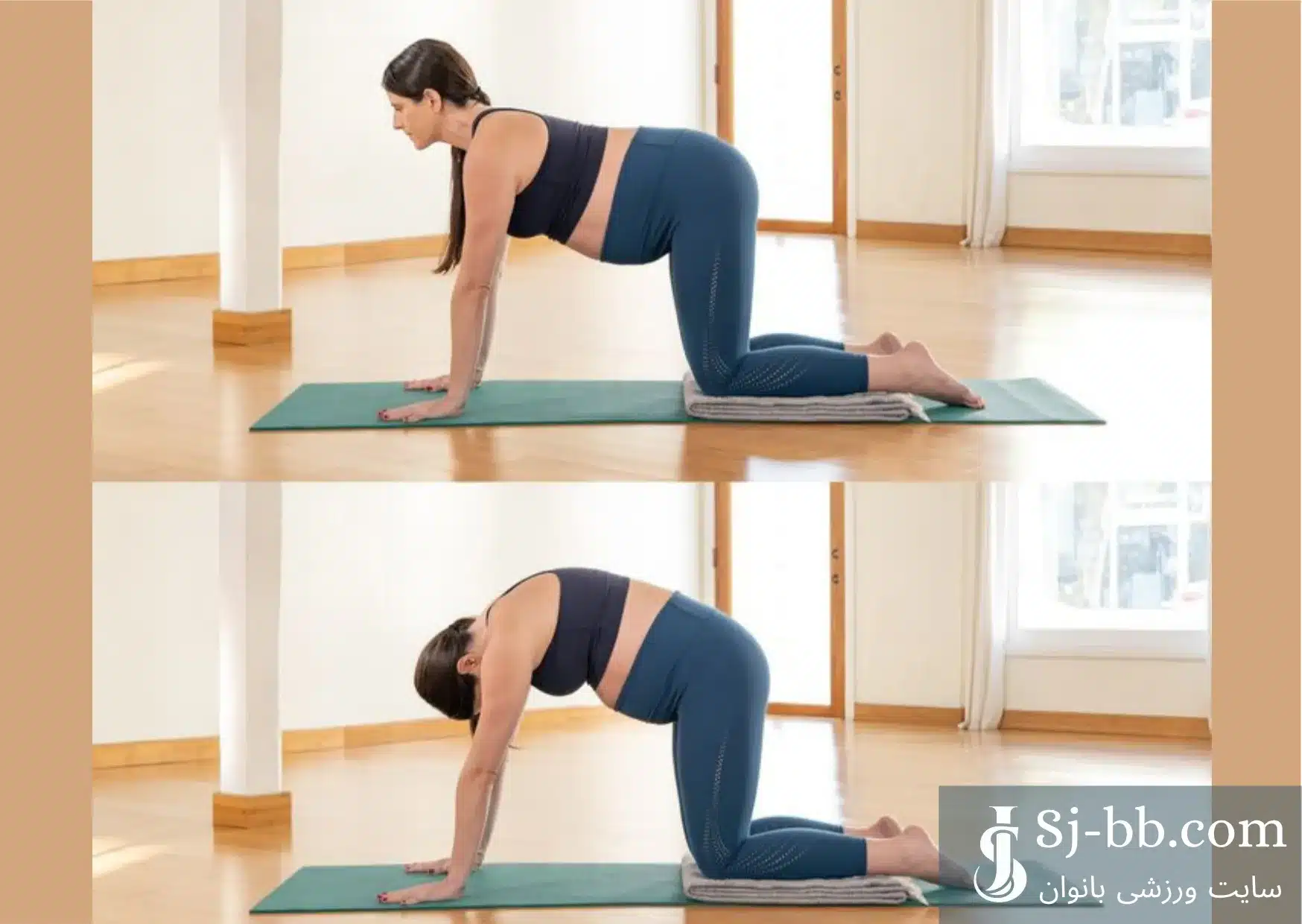 حرکت گربه گاو یوگا مخصوص بارداری