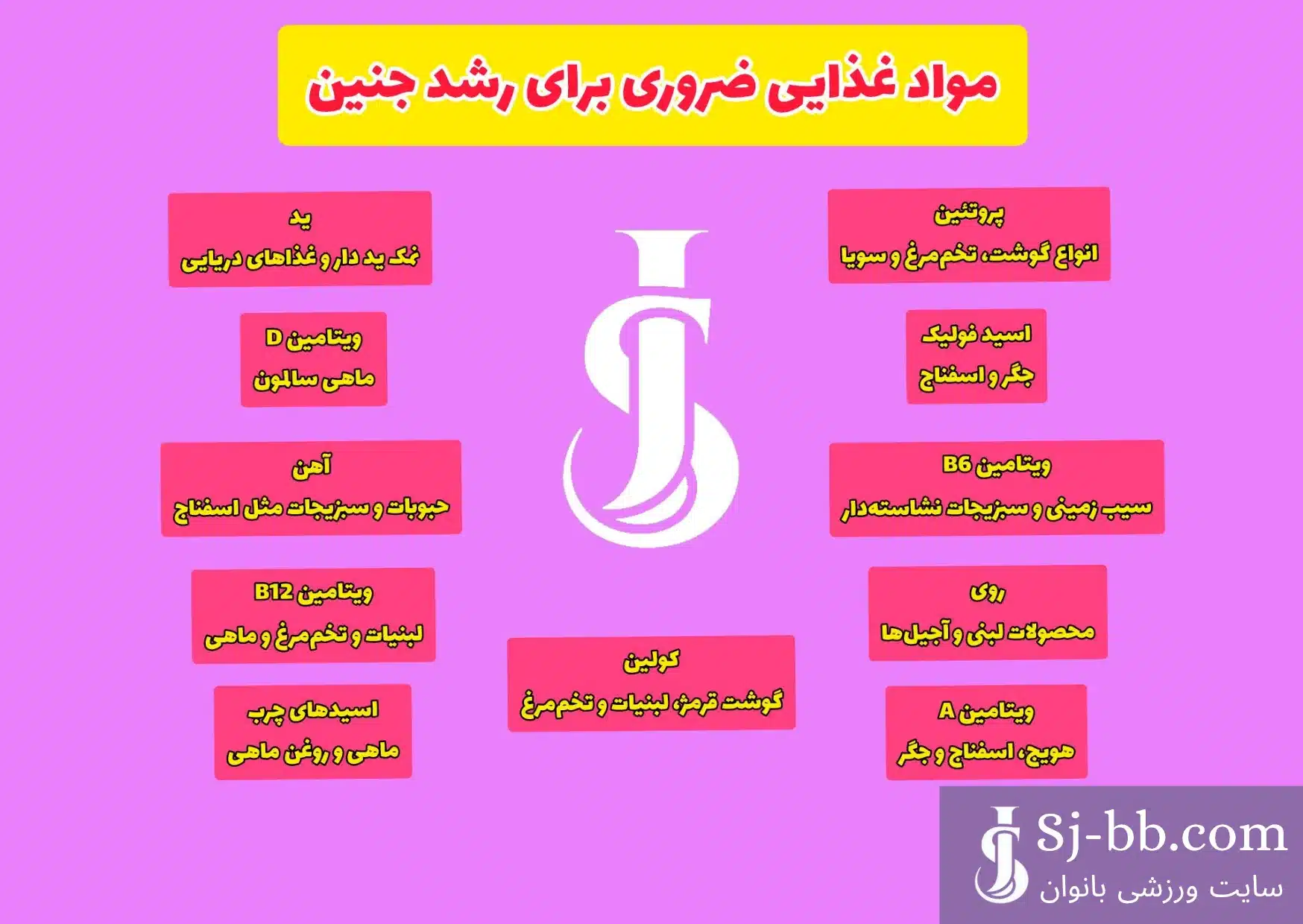 اینفوگرافی مواد غذایی ضروری برای رشد جنین