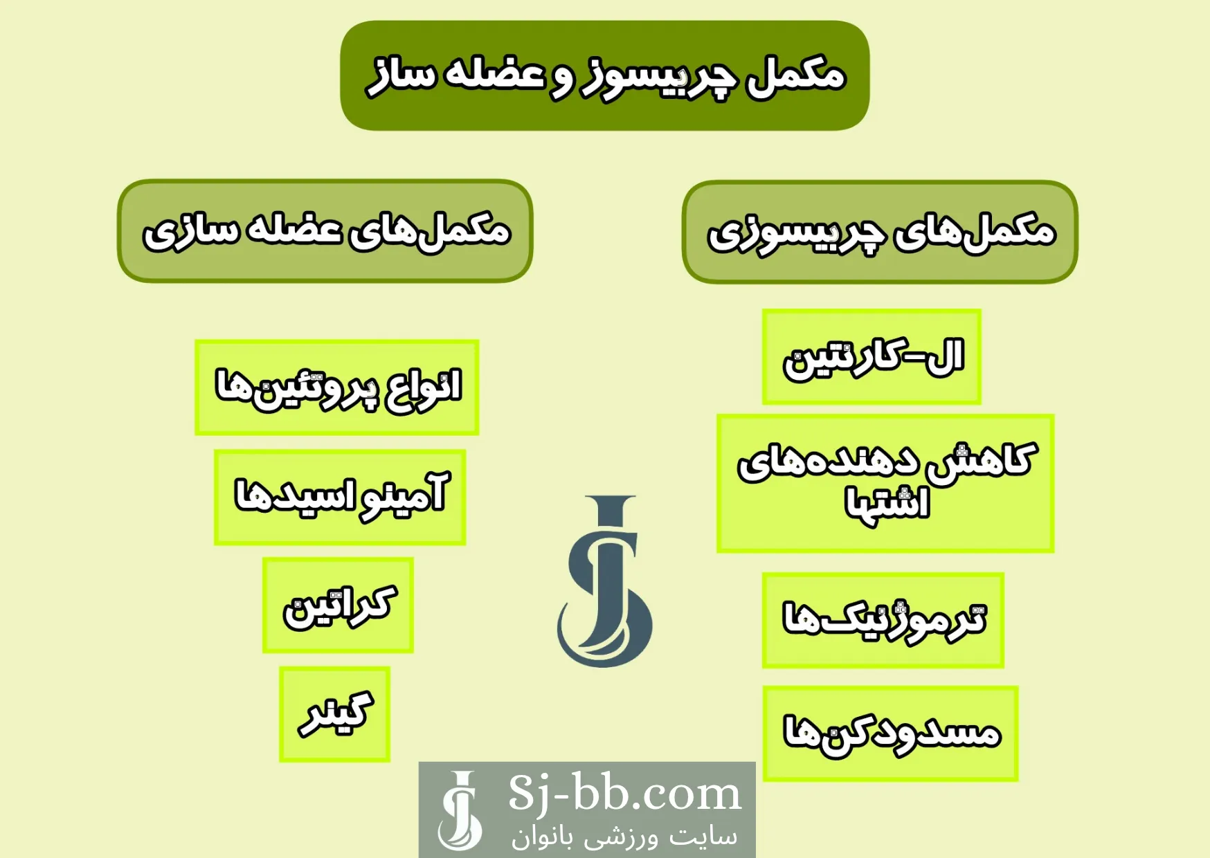 اینفوگرافی مکمل چربیسوز و عضله ساز