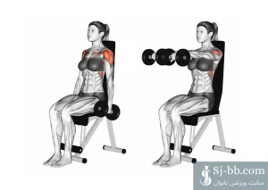 اجرای حرکت نشر از جلو دمبل نشسته برای تقویت سرشانه جلویی بانوان