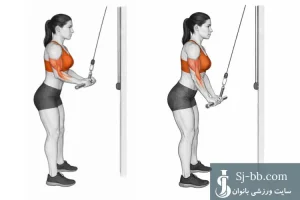 پشت بازو سیمکش جفت دست | آموزش اجرای صحیح تمرین برای تقویت سهسر بازو