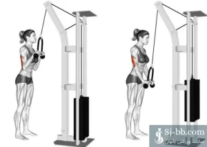 حرکت پشت بازو سیمکش برای تقویت عضلات پشت بازو