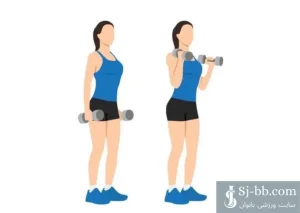 اجرای حرکت جلو بازو دمبل چکشی برای تقویت عضلات جلو بازو و ساعد بانوان (Hammer Dumbbell Curl for Strengthening Biceps and Forearm Muscles)