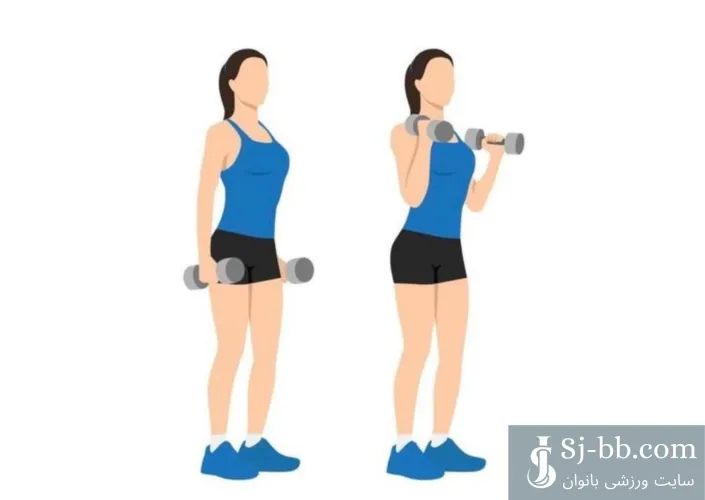 اجرای حرکت جلو بازو دمبل چکشی برای تقویت عضلات جلو بازو و ساعد بانوان (Hammer Dumbbell Curl for Strengthening Biceps and Forearm Muscles)