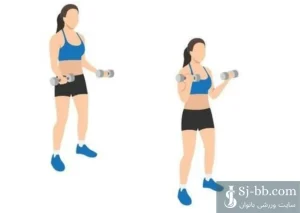 اجرای جلوبازو دمبل جفت دست با فرم صحیح – Dumbbell Biceps Curl Both Arms
