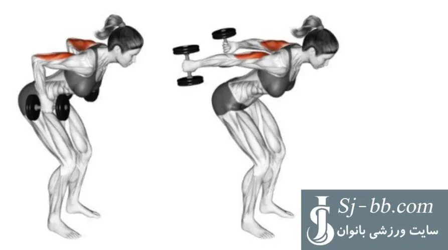 اجرای حرکت پشت بازو کیک بک دمبل برای تقویت عضلات پشت بازو (Dumbbell Triceps Kickback)