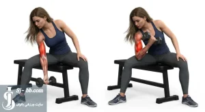 نحوه اجرای حرکت جلوبازو دمبل تمرکزی با نمایش عضله دوسر بازویی در تصویر آناتومیک آموزشی