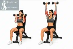 پرس سرشانه دمبل آرنولدی نشسته؛ تمرینی هدفمند برای حجم و فرمدهی سرشانه