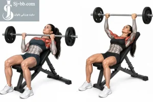 بالاسینه هالتر مچ معکوس؛ تنوعی متفاوت برای تقویت عضلات سینه